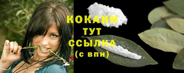 молекула духа Вязьма