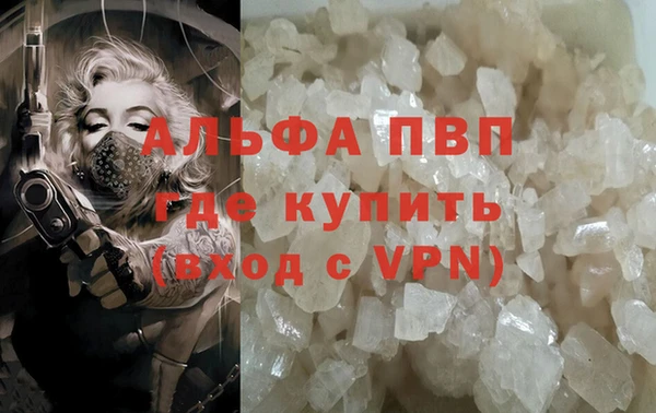 молекула духа Вязьма